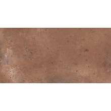 Dado Tavellone С000311594 TVN011_VecchiaFirenzeOut_15,3x31 keramisk granitt 15,3x31 cm, Italia, under kotto - foto 1 - foto 1