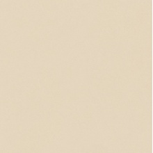 Del Conca Bioterre GTBE01R HBE 01 Soia Nat Ret porcelain tile 80x80 cm, Italy, stone  - photo 1 - photo 1