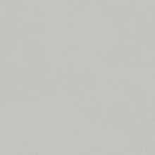 Del Conca Bioterre GTBE04R HBE 04 Amla Nat Ret porcelain tile 80x80 cm, Italy, stone  - photo 1 - photo 1