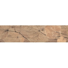 Del Conca Foreste D'Italia FI 9 Foliage Noce Sisustus 20x80 cm, Italia, puunaytteinen - kuva 1 - kuva 1