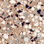 Del Conca Frammenti С000461601 20FR06MA_FR 06/TERRACOTTA MACRO 20X20 grès cérame 20x20 cm, Italie, terrazzo - photo 1
