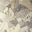 Del Conca Marble Edition С000586954 GRMEBLENDR_HME Rett. 120x120 Blended porcelain tile 120x120 cm, Italy, other types of marble - photo 1