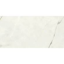 Del Conca Premiere С000580462 GCPM20S_HPM 20 Shine Rett Onice Bianco 60x120 keramisch graniet 60x120 cm, Italië, onyx - foto 1 - foto 1