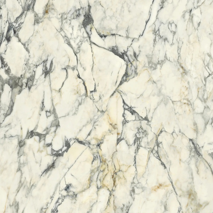 Del Conca Premiere С000580449 GRPM10R_HPM 10 Rett Paonazzo 120x120 porcelain tile 120x120 cm, Italy, calacatta - photo 1 Del Conca Premiere С000580449 GRPM10R_HPM 10 Rett Paonazzo 120x120 porcelain tile 120x120 cm, Italy, calacatta - photo 1