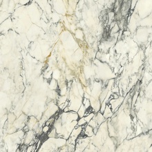 Del Conca Premiere С000580450 GRPM10S_HPM 10 Shine Rett Paonazzo 120x120 keramisch graniet 120x120 cm, Italië, calacatta - foto 1 - foto 1