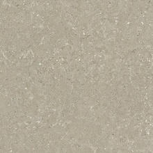 Del Conca Wild С000562860 G9WD11R__HWD 11 Greige_Rett60X60 keramisch graniet 60x60 cm, Italië, andere soorten steen - foto 1 - foto 1