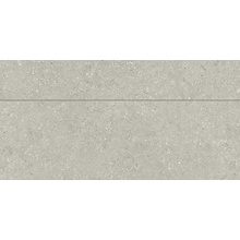 Del Conca Wild С000562863 GCWD05MO_Universal_HWD 05 Grey_Rett60X120 keramisch graniet 60x120 cm, Italië, andere soorten steen - foto 1 - foto 1