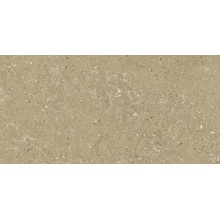 Del Conca Wild G8WD01R HWD 1 Beige Rett Hard keramisch graniet 30x60 cm, Italië, steen  - foto 1 - foto 1