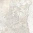 Edimax Astor Bloom С000555312 7MG1_GREY_60*60 porcelain tile 60x60 cm, Italy, other types of stone - photo 1