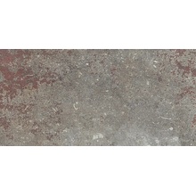 Edimax Astor Fable 6PF2 CENDRÉ Ret R11 Feinsteinzeug 30x60 cm, Italien, andere steinarten - Foto 1 - Foto 1