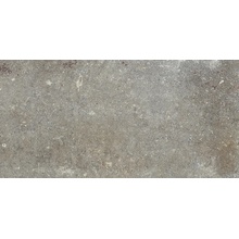 Edimax Astor Fable 6FC3 CENDRÉ Ret Feinsteinzeug 30x60 cm, Italien, andere steinarten - Foto 1 - Foto 1