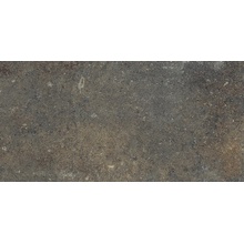 Edimax Astor Fable 6FC2 CHARBON Ret Feinsteinzeug 30x60 cm, Italien, andere steinarten - Foto 1 - Foto 1