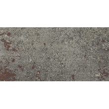 Edimax Astor Fable 6PF1 CHARBON Ret R11 Feinsteinzeug 30x60 cm, Italien, andere steinarten - Foto 1 - Foto 1