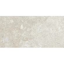 Edimax Astor Fable 6PF4 IVOIRE Ret R11 Feinsteinzeug 30x60 cm, Italien, andere steinarten - Foto 1 - Foto 1