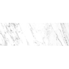 Edimax Astor Reve С000619589 H202_BLANC 1030 gres porcelanato 10x30 cm, Itália, outros tipos de mármore - foto 1 - foto 1