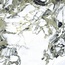 Edimax Astor Touché С000610501 4D56_JADE 60X60 porcelænsflise 60x60 cm, Italien, andre typer marmor - foto 1