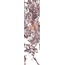 Edimax Astor Touché С000610518 1TH3_RUBIS 7,5X30 porcelænsflise 7,5x30 cm, Italien, andre typer marmor - foto 1
