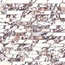 Edimax Astor Touché С000610530 NI47_MOSAICO CRISP RUBIS Mosaic 30x30 cm, Italy, other types of marble - photo 1