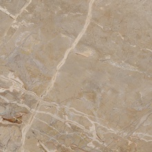 Edimax Astor Golden Age Beige 80 keramisch graniet 80x80 cm, Italië, steen  - foto 1 - foto 1