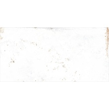 Edimax Astor Home С000578602 R2R6_Whitepastel20X40 keramisch graniet 20x40 cm, Italië, kotto - foto 1 - foto 1