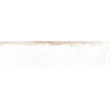 Edimax Astor Home 1Y21 Whitepastel keramisch graniet 10x40 cm, Italië, steen  - foto 1 - foto 1