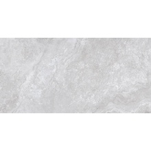 Edimax Astor Stream С000461033 4C49_Silver60X120Ret grès cérame 60x120 cm, Italie, travertin - photo 1 - photo 1