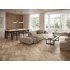 El Molino Icaro 62x120 см, porcelanato esmaltado, Espanha, árvore - foto de interior 1 El Molino Icaro 62x120 см, porcelanato esmaltado, Espanha, árvore - foto de interior 1