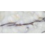 Emilceramica Tele di Marmo Pure Onyx С000596318 EMMS_60X120TdmpoOnyxTurcheseFullLappatoRt gres porcelanato 60x120 cm, Itália, ónix - foto 1 Emilceramica Tele di Marmo Pure Onyx С000596318 EMMS_60X120TdmpoOnyxTurcheseFullLappatoRt gres porcelanato 60x120 cm, Itália, ónix - foto 1