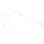 Emotion Ceramics Naos Blanco Pulido Rect porcelain tile 60x120 cm, Spain, calacatta marble - photo 1