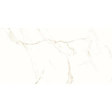 Emotion Ceramics Naos Gold Pulido Rect porcelænsflise 60x120 cm, Spanien, calacatta-marmor - foto 1 - foto 1