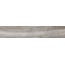 Emotion Ceramics Pecan Gris grès cérame 23,3x120 cm, Espagne, arbre - photo 1 Emotion Ceramics Pecan Gris grès cérame 23,3x120 cm, Espagne, arbre - photo 1