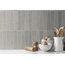 Equipe Bamboo 5,6x22,4 см, geglazuurd keramisch graniet, Spanje - interieurfoto 1