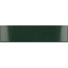 Equipe Costa Nova 28440 Laurel Green Glossy wall tile 5x20 cm, Spain, stone  - photo 1 - photo 1