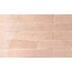 Equipe Tribeca С000499555 26878_Tea_rose_highgloss porcelain tile 6x24,6 cm, Spain - photo 1 Equipe Tribeca С000499555 26878_Tea_rose_highgloss porcelain tile 6x24,6 cm, Spain - photo 1