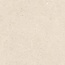 Ergon GemmaStone С000627584 ENMV_120X120GemmastoneGemmaFineSabbiaSilktechRt porcelain tile 120x120 cm, Italy, other types of stone - photo 1