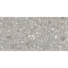 Ergon Lombarda С000495524 E06K_450X900LmbaGrigioR keramisk granitt 45x90 cm, Italia, ceppo di gre - foto 1 - foto 1