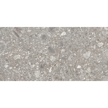 Ergon Lombarda С000495519 E06A_300X600LmbaGrigioR keramisk granitt 30x60 cm, Italia, ceppo di gre - foto 1 - foto 1
