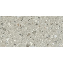 Ergon Lombarda С000602892 EM8W_60X120LombardaMixCenereNatRt keramisk granitt 60x120 cm, Italia, ceppo di gre - foto 1 - foto 1