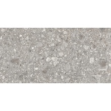 Ergon Lombarda EG89 Grigio Naturale Ret keramisch graniet 60x120 cm, Italië, terrazzo - foto 1 - foto 1