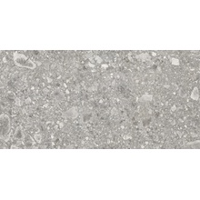 Ergon Lombarda E06K Grigio Naturale Ret keramisch graniet 45x90 cm, Italië, terrazzo - foto 1 - foto 1