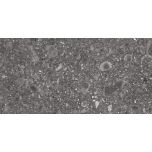 Ergon Lombarda E06L Nero Naturale Ret keramisch graniet 45x90 cm, Italië, terrazzo - foto 1 - foto 1