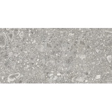 Ergon Lombarda E06A Grigio Naturale Ret keramisch graniet 30x60 cm, Italië, terrazzo - foto 1 - foto 1