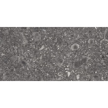 Ergon Lombarda E06C Nero Naturale Ret keramisch graniet 30x60 cm, Italië, terrazzo - foto 1 - foto 1