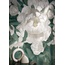 Ergon Pigmento 30x60, porcelanato não esmaltado, Itália, concreto - foto de interior 7