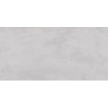 Ergon Pigmento С000585996 ELNT_60X120PigmentoGrigioCenereSilktechRt gres porcelanato 60x120 cm, Itália, concreto - foto 1 - foto 1