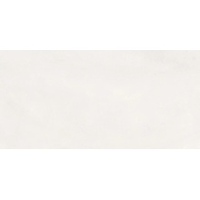 Ergon Pigmento С000585997 ELNU_60X120PigmentoPerlaSilktechRt gres porcelanato 60x120 cm, Itália, concreto - foto 1 - foto 1
