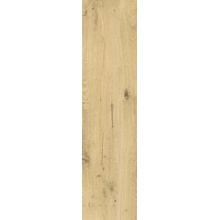 Ermes Bosco С000618402 PF00022583_30X121 BOSCO ACERO RET grès cérame 30x121 cm, Italie, arbre - photo 1 - photo 1