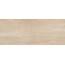 Ermes Crossover С000559786 PF00013902_37444_20X50_crossover_beige vægflise 20x50 cm, Italien - foto 1 Ermes Crossover С000559786 PF00013902_37444_20X50_crossover_beige vægflise 20x50 cm, Italien - foto 1