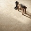Ermes Travertino 30x60, glazed porcelain stoneware, Italy, travertine - interior photo 10