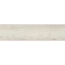 Ermes Xyla С000618161 PF00015314_37480 20,2X80,2 XYLA ACERO keramisch graniet 20,2x80,2 cm, Italië, hout - foto 1 - foto 1